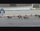 2022年3月15日高知競馬4R ヴァニラ誕生日協賛 ヴァニラお誕生日特別(C3-2組) コスタアレグレ