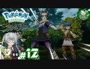 【Pokémon LEGENDS アルセウス】空から落ちてきた少女のポケモン調査録　＃12 【ゆっくり実況】