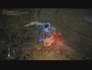【ELDEN RING】セスタスでパリィを楽しむ褪せ人(ネタバレ注意)