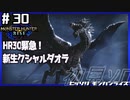 (ひっそりと)MHRise初見実況プレイ#30「嵐に舞う黒い影」