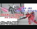 クロスボーン・ガンダム X-0 フルクロス＆ビギナ・ギナ ベラ・ロナ・スペシャル【ガンダム解説】 part23