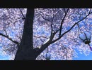 カッパのFF14生活116　リーパー取得