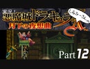 実況！しるひーさんの月下の夜想曲 Part12