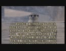 愛のために死す１１
