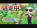 【あつ森】逃走中を森でやってみた シャムロックデー編 inみーどり島【実況】あつまれどうぶつの森