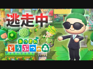 【あつ森】逃走中を森でやってみた シャムロックデー編 inみーどり島【実況】あつまれどうぶつの森