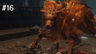 【ELDEN RING】はじめての悶絶褪せ人地獄_#16