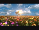 The Shadows - Spring is nearly here  (REMAKE)