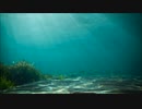 ショートサーキット出張版読み上げ動画7592
