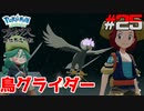 ポケモン異世界転生道中記【LEGENDSアルセウス】ツッコミ多めの実況part25