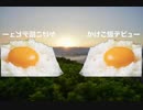 WindTV Everyday