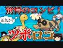 ツボツボとレベル49メグロコが予測不能のシナジーを生むトリプルバトル【ポケモンORAS】【ゆっくり実況】