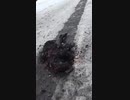 russia-wor-army-dead