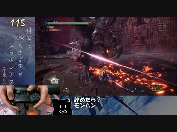 【MHW:I】体力ゲージを一切減らさずにミラボレアスを倒してみた【後編】