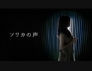 【オリジナル振付】ソワカの声 踊ってみた【ぴのひと】