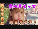 【TDL】念願のディズニー！実は都市伝説あるの知ってる？【美女と野獣】