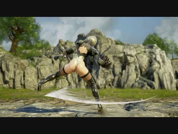 [SC6/1080p] 2B開三宝地獄7mins耐久リョナ
