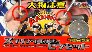 【カラー版】【大収穫につき閲覧注意！】スプリング耳かきとピンセット/本物耳かきASMR/ Real Ear Cleaning Sound /SONY ECM-CS3【睡眠導入】
