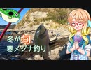 そらさんと釣りの思い出１５～冬が旬　寒メジナ釣り～