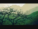 イラスト風写真（CHIYURI）