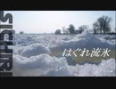 はぐれ流氷