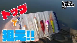 目指すは水面爆発！トップのシーバス！【シーバスチャレンジ02】