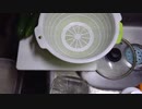 【料理中地震発生！】春の味覚！タンポポの花と茎と菜の花のお浸しを作ってかっぱ割りを呑む！双極性障害でHSPのユッキーの飲酒生配信part216