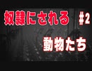 奴隷にされる動物たち、強制労働させられる工場に潜入！White Shadows実況その２