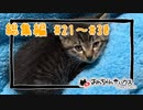 我が家の猫さんの成長記録総集編#21～#30