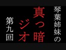 琴葉姉妹の真っ暗ジオ第九回
