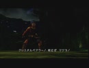 FFのクリスタルベアラー part5