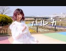 【ちぇり】ハルカ【踊ってみた】