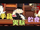 【大逆転裁判2 其の55】法廷中に手品とか実験とか飲食とかする陪審員の皆様【新人Vtuber】