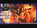 (ひっそりと)MHRise初見実況プレイ#33「炎国の王」