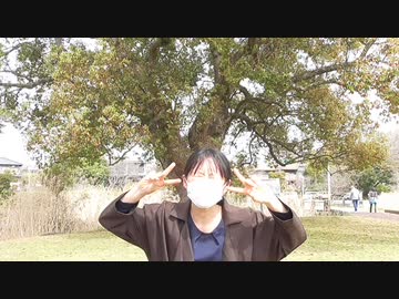 【夜勤明け】彼方此方【踊ってみた】