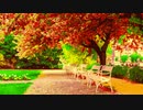 #park Nagayama.Chiyuri
