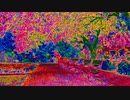 #spring Nagayama.Chiyuri