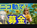 ウクライナに募金してみた
