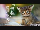 【朗読】愛撫/梶井基次郎,聴きながら眠れると嬉しい青空文庫【岡野の朗読】