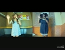サクラ ～卒業できなかった君へ～／半崎美子