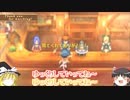 【ドラクエ9】"素材集め"「ロッカーがない !?」なら〈採って盗って獲り〉まくろうぜえええええええええ！！！！！　【げんませき編】【ゆっくり解説】