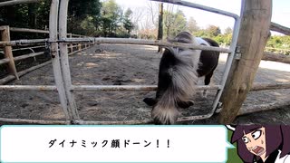 東北きりたんで埼玉県狭山市智光山公園こども動物園