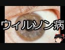 【ゆっくり朗読】ゆっくりさんと不思議な病気 その490