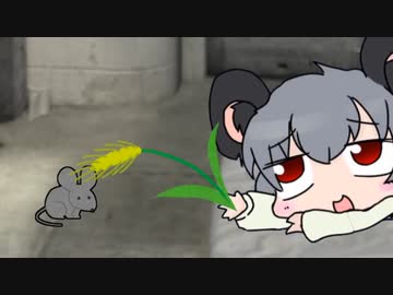 初めて刑務所に入ったNYN姉貴【再】