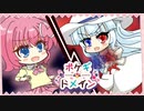 【ポケモン剣盾】ポケギ＊ドメイン 9話