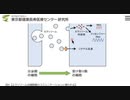ウイルス＝エクソソーム論～感染症はデトックス