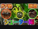 【調査】ガチ勢が使ってるシューター編成を調べてみたら意外なことが分かりました【ザアンツ #26】