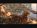 愛のために死す１４