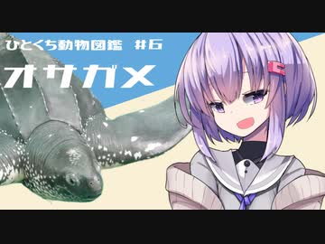 ひとくち動物図鑑　#６　オサガメ　[VOICEROID解説]