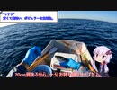 手漕ぎボートで釣りに行こう　第3回